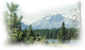 Camping in Kananaskis Country's High Country Campgrounds and equestrian campgrounds